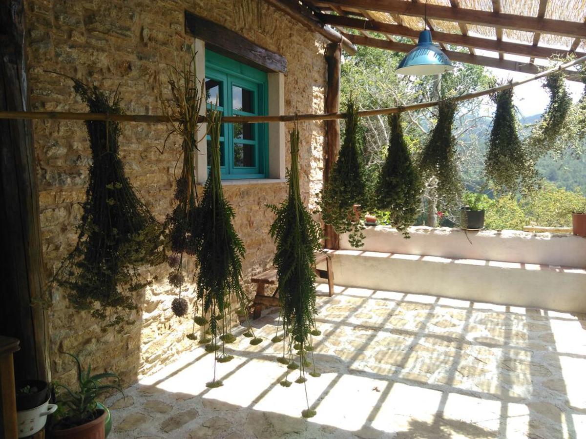 Masseria Cata Catascia Bed & Breakfast Tortorella Exterior photo