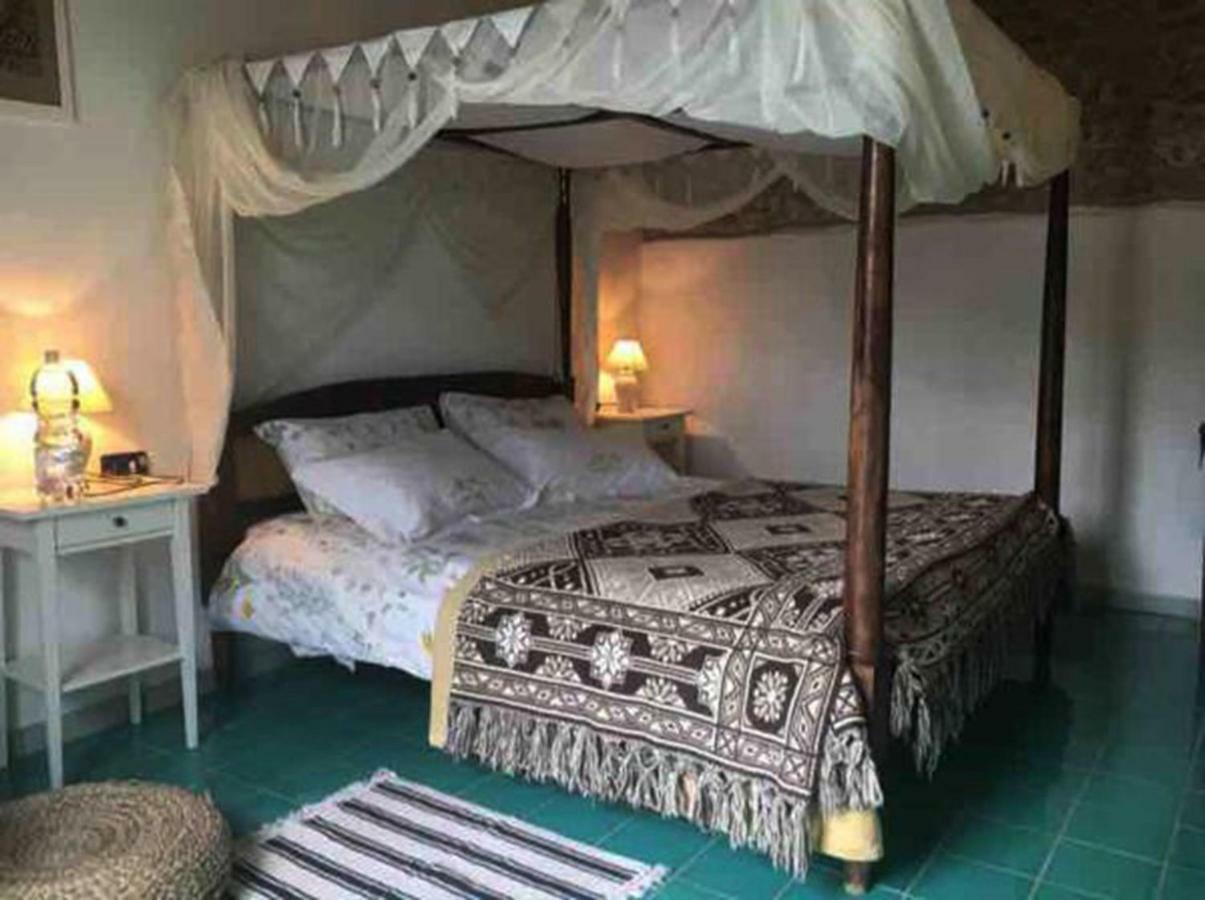 Masseria Cata Catascia Bed & Breakfast Tortorella Exterior photo